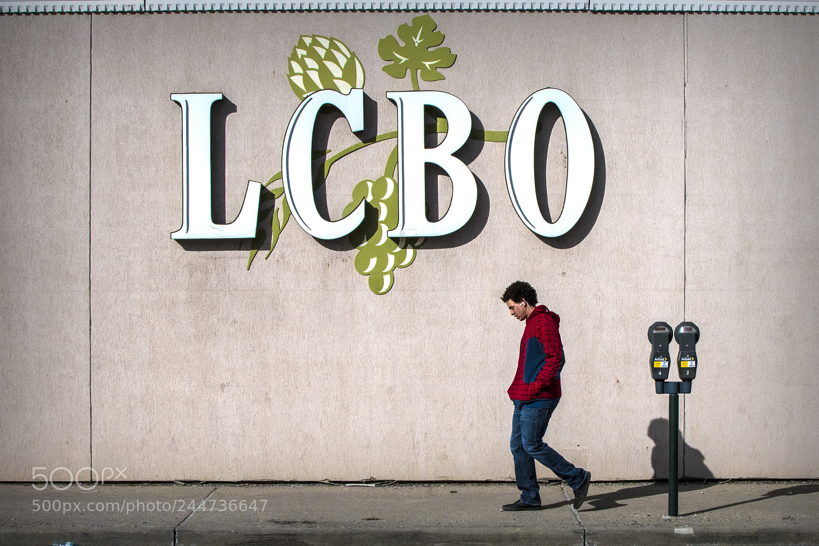 Nikon D500 sample photo. Spidey's day off. windsor photography