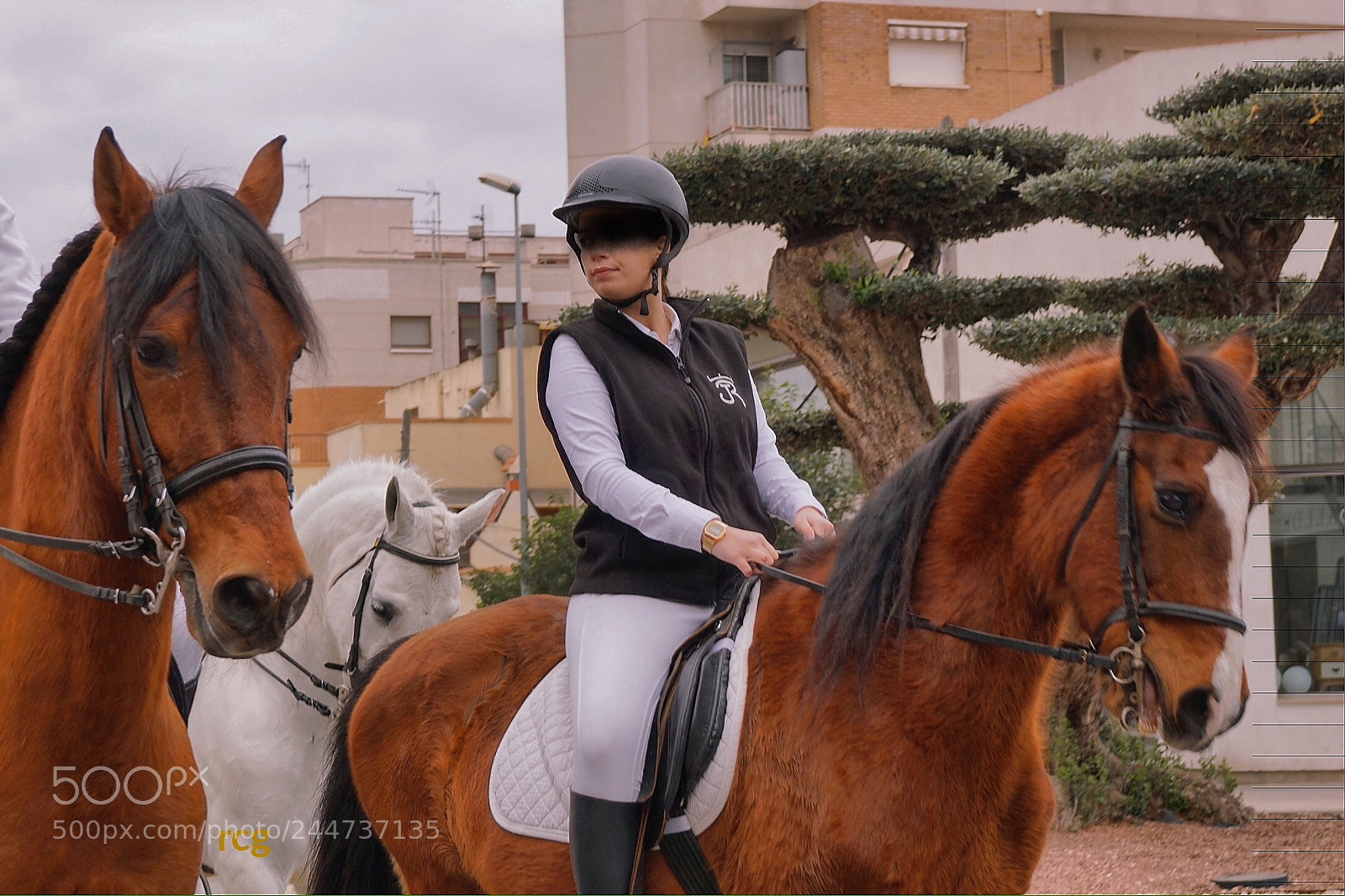 Sony Alpha a5000 (ILCE 5000) sample photo. Corre corre caballito photography
