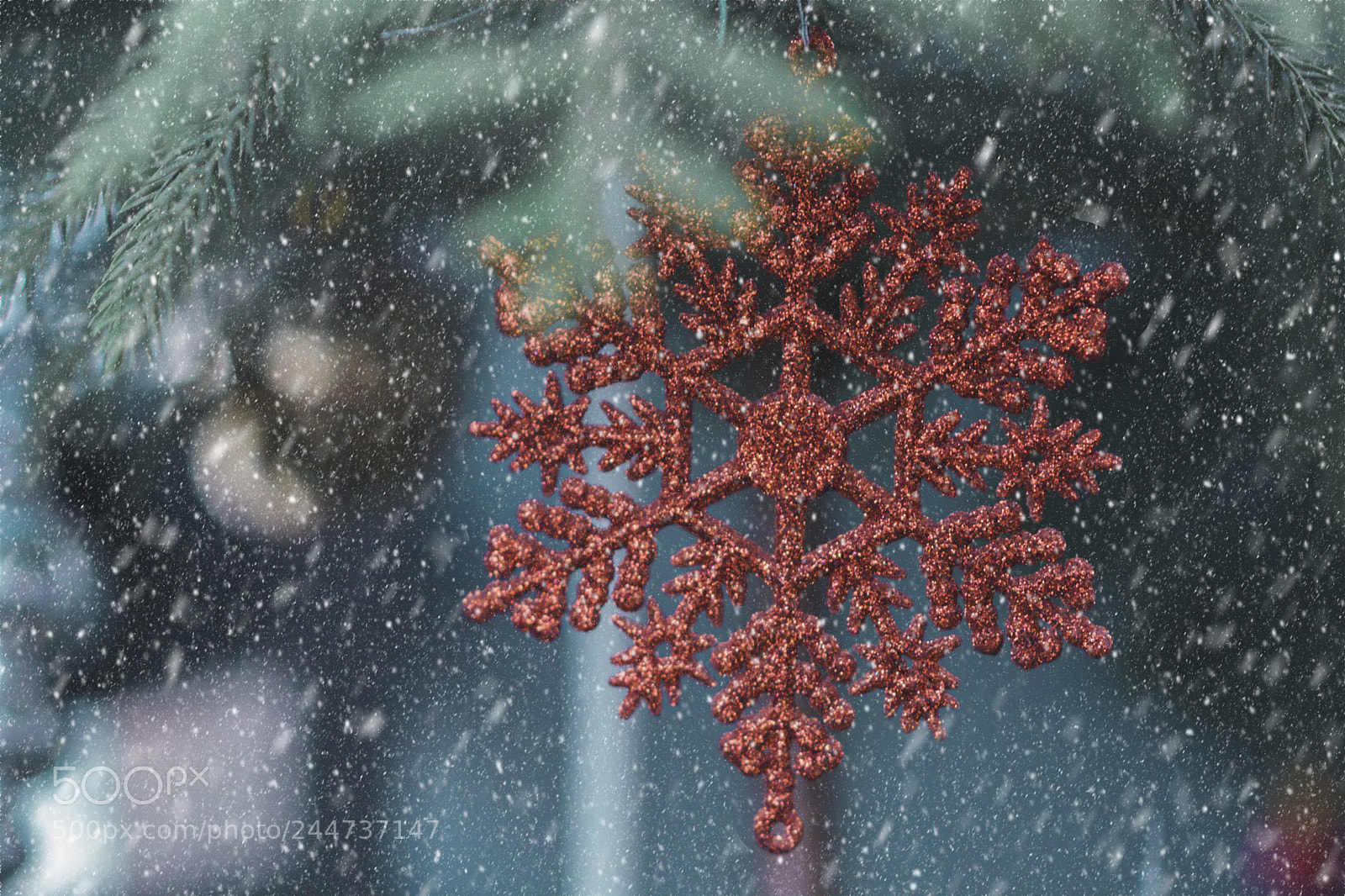 Nikon D7100 sample photo. Late christmas photography