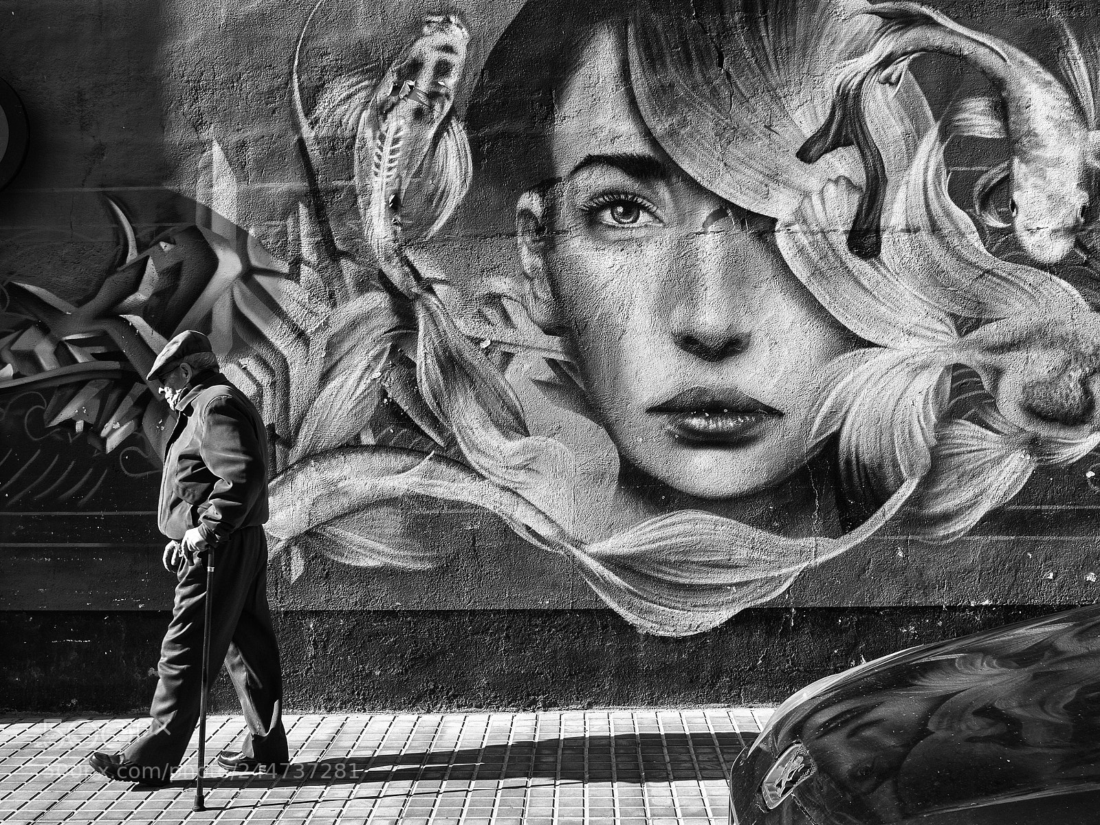 Olympus OM-D E-M1 sample photo. Graffiti 1 photography
