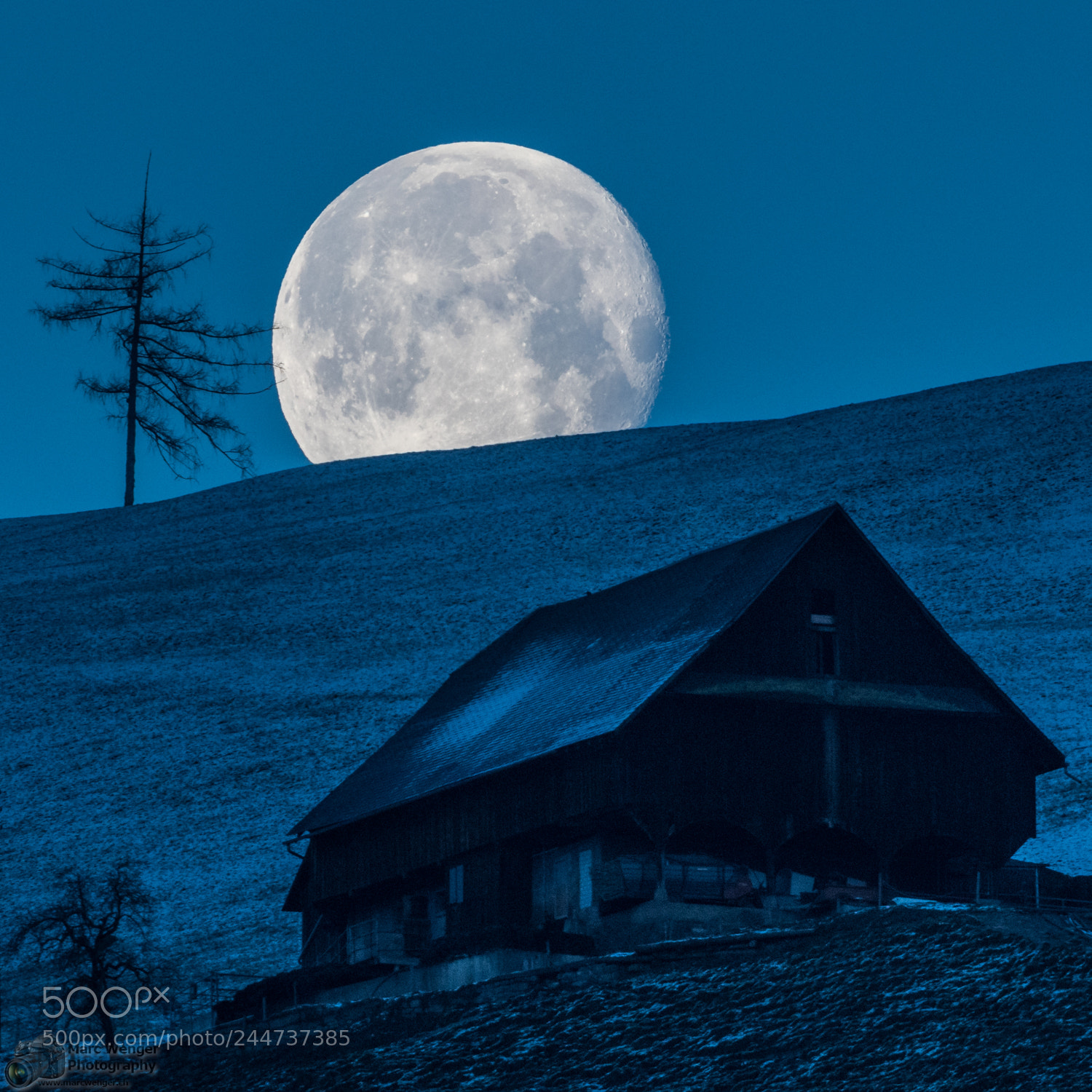 Nikon D500 sample photo. Moon mania photography