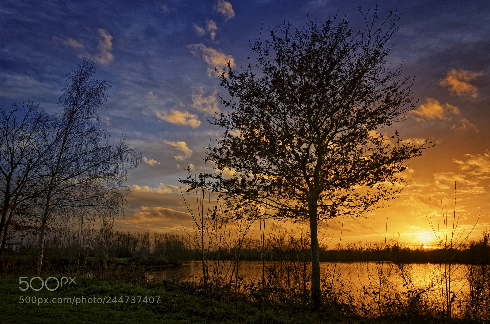 Nikon D5100 sample photo. Golden light in winter photography