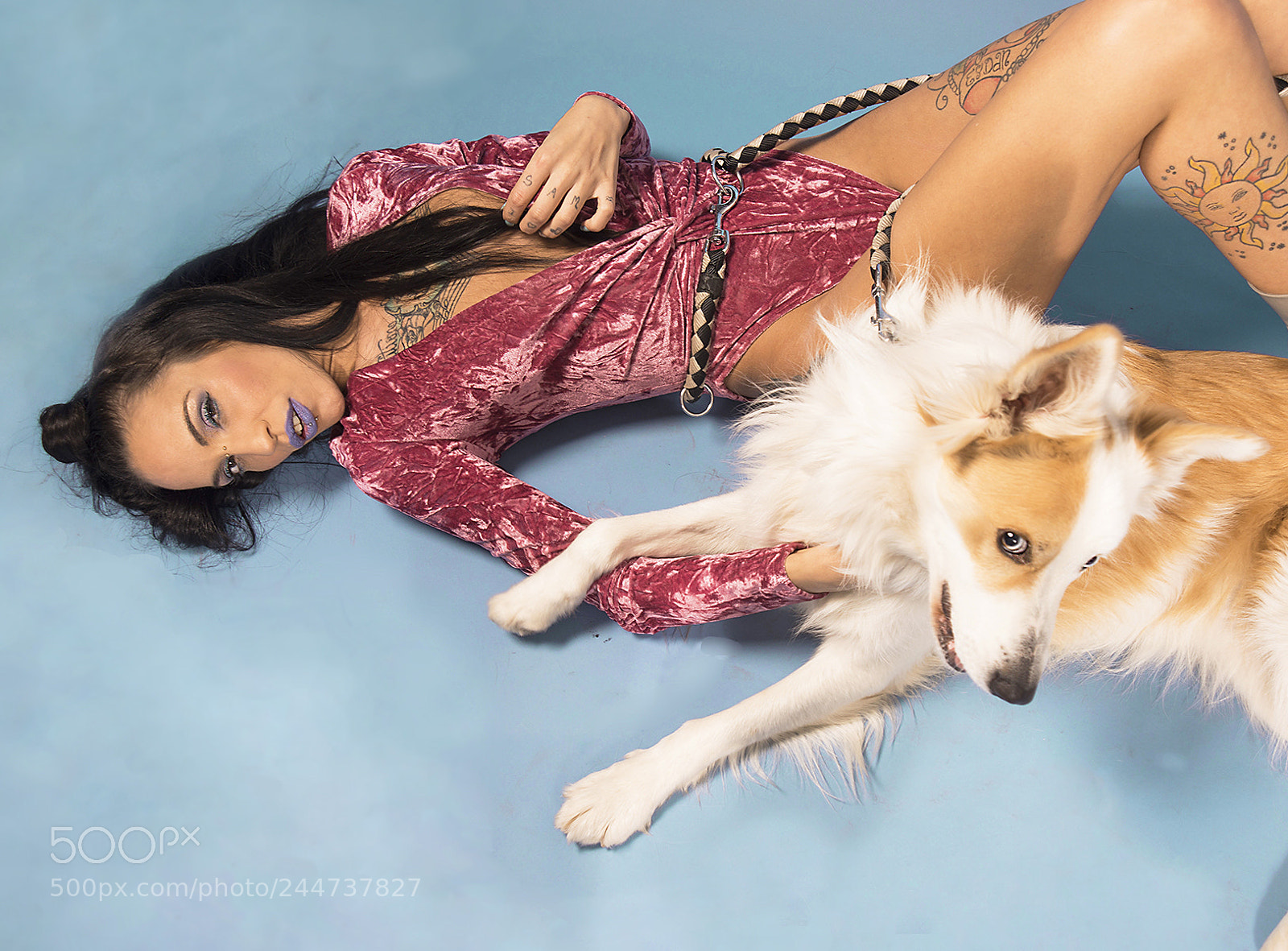 Nikon D800 sample photo. Girl and dog photography