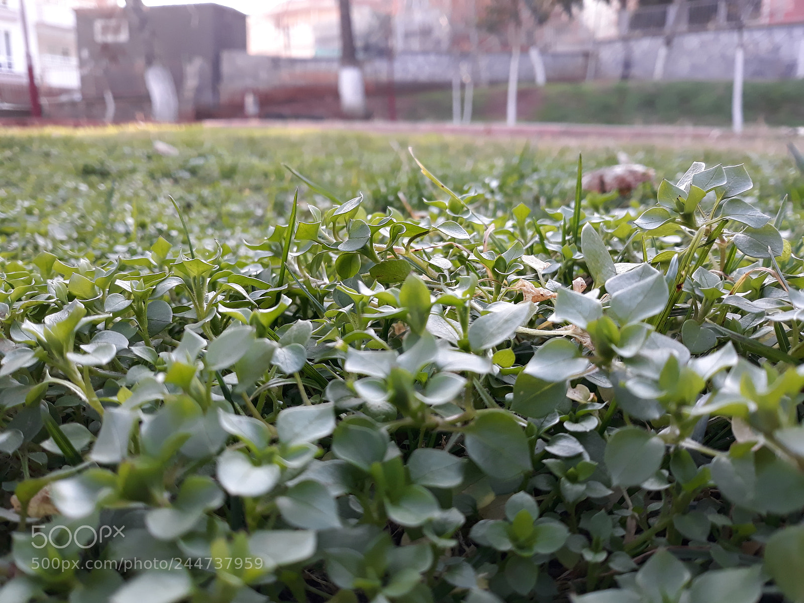 Samsung Galaxy J7 sample photo. Untitled photography