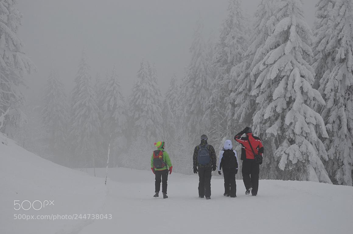 Nikon D5100 sample photo. Winter photography