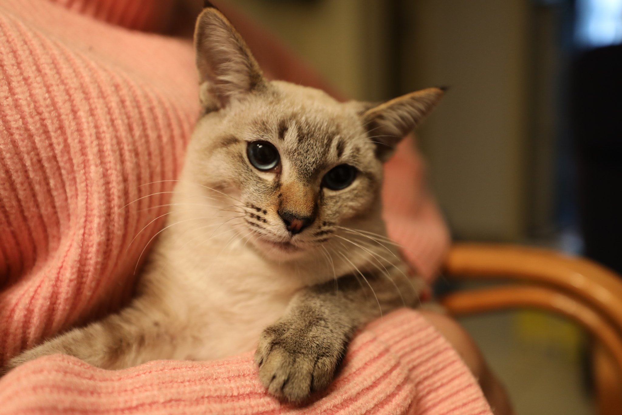 Canon EF 16-35mm F2.8L III USM sample photo. Why the pic order in albums so messed up? photography