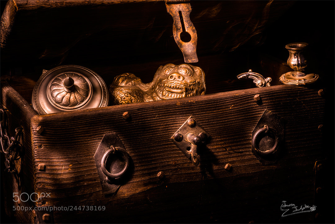Nikon D800E sample photo. Deep treasure photography
