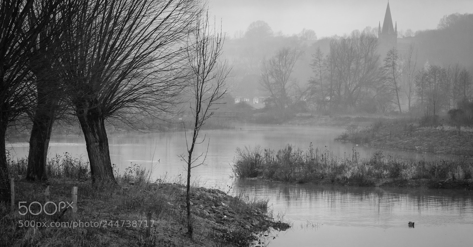 Nikon D7200 sample photo. Water and land photography