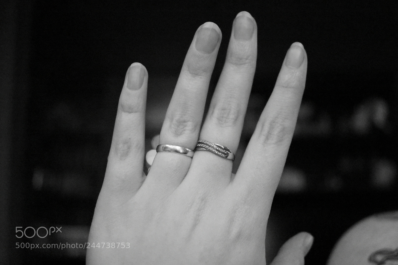 Nikon D3400 sample photo. Untitled photography