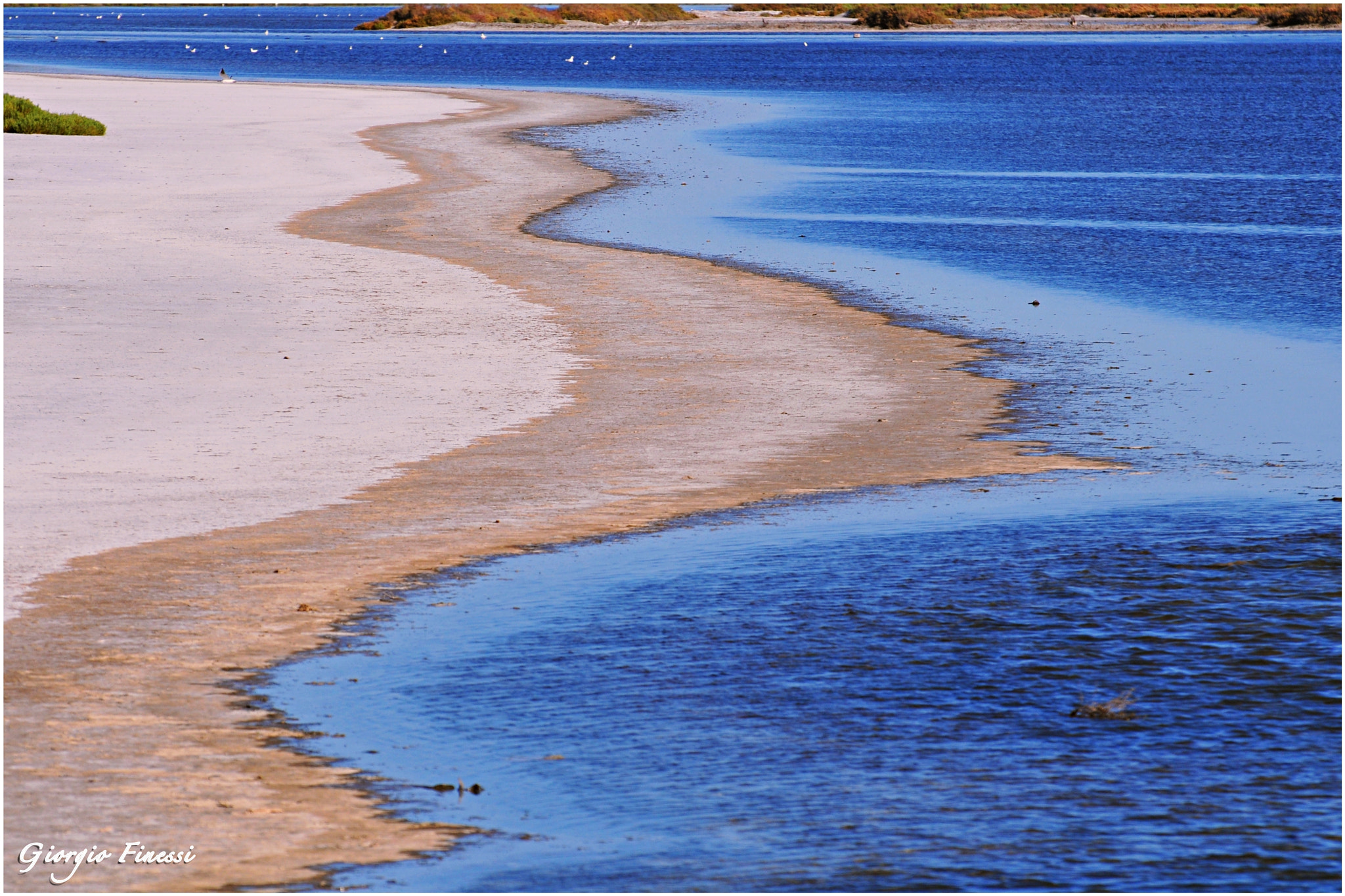 Nikon D300 sample photo. Camargue photography