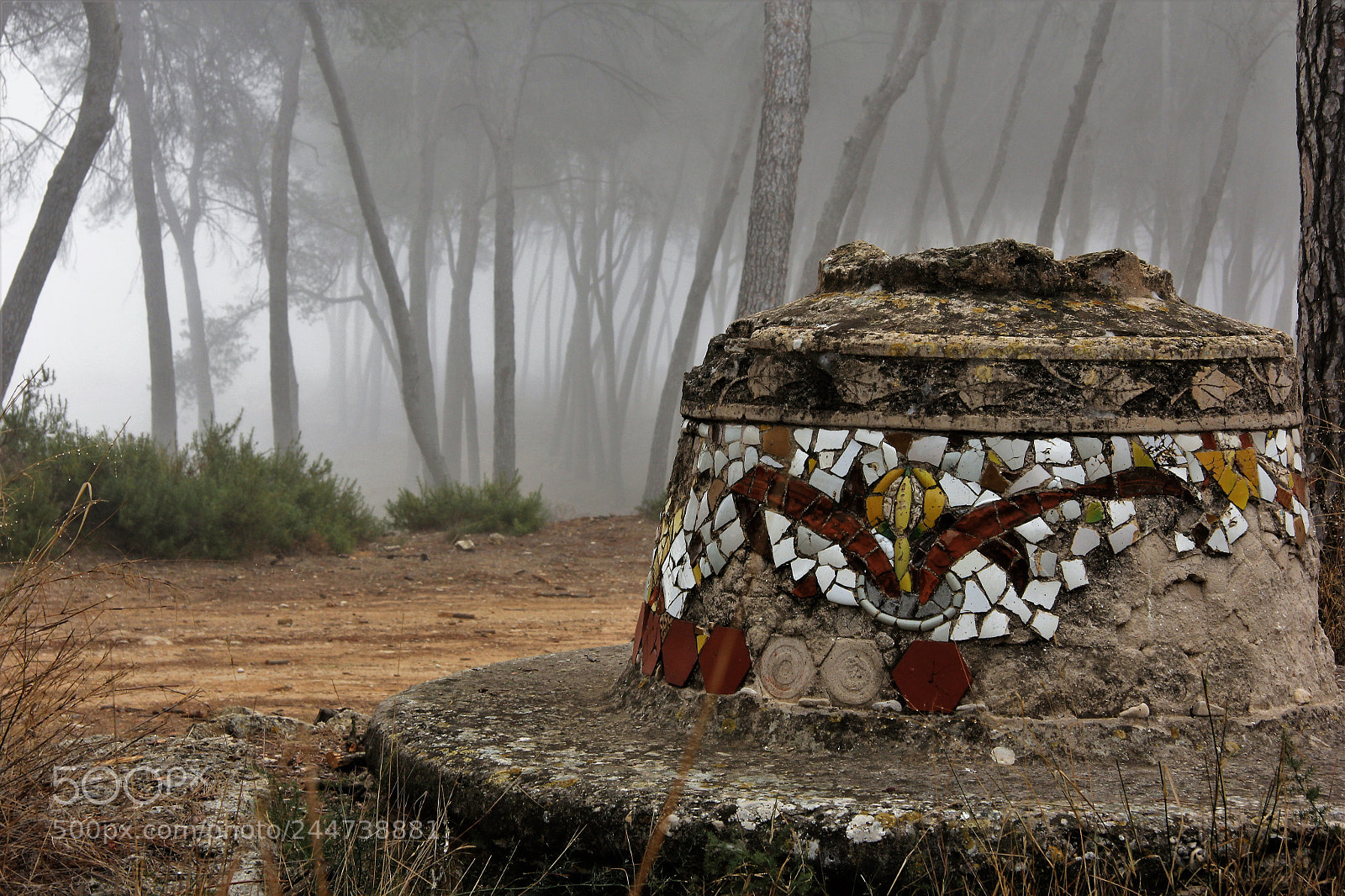 Canon EOS 60D sample photo. Niebla 4 photography