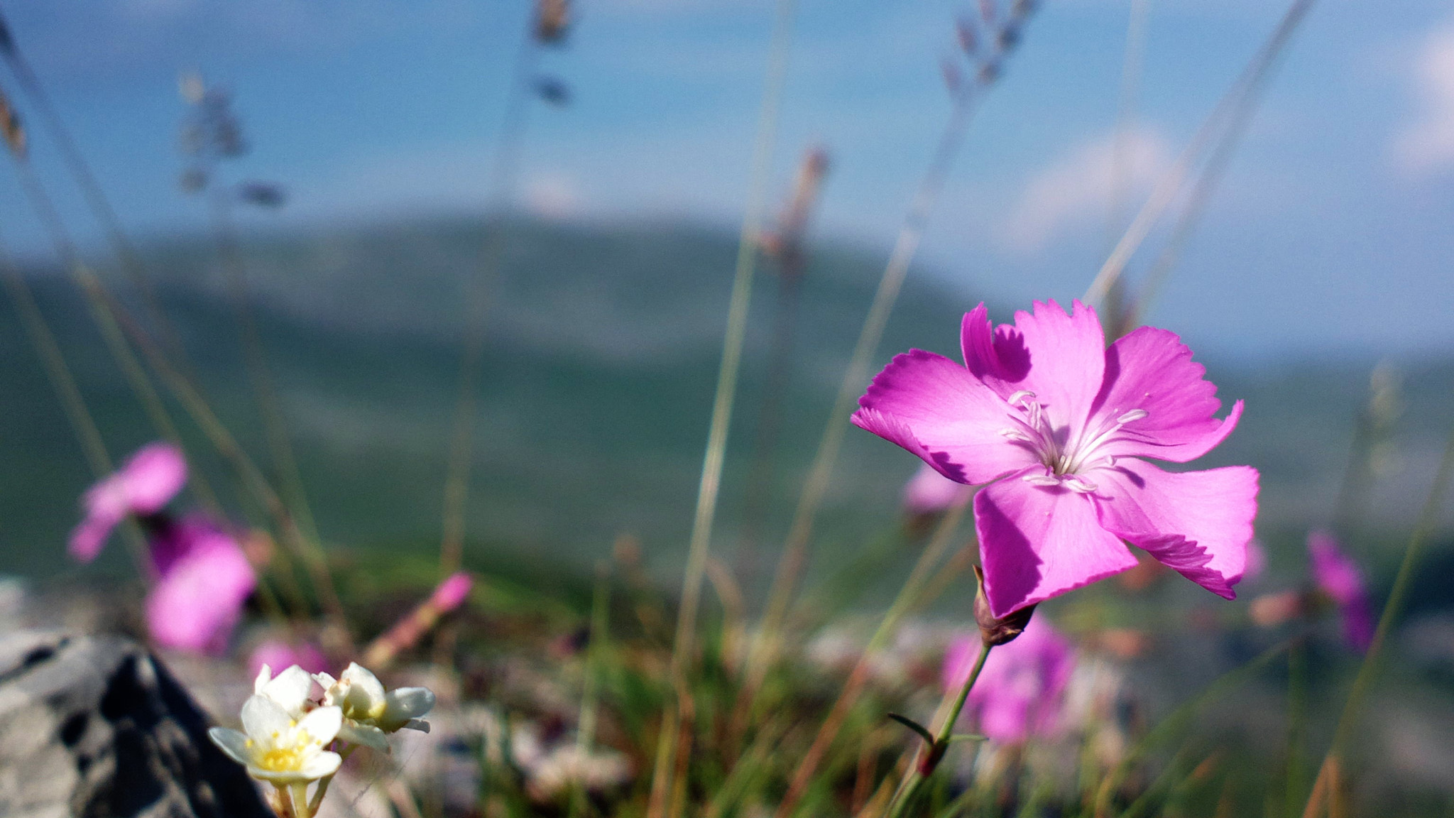 Nokia 808 PureView sample photo. Rocks star photography