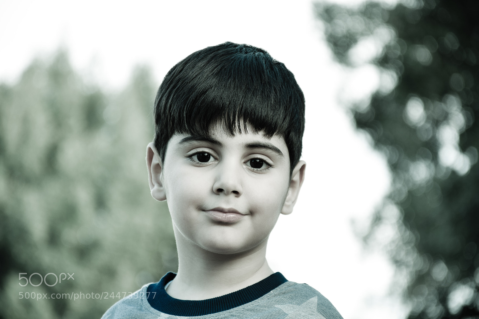 Nikon D7200 sample photo. Untitled photography