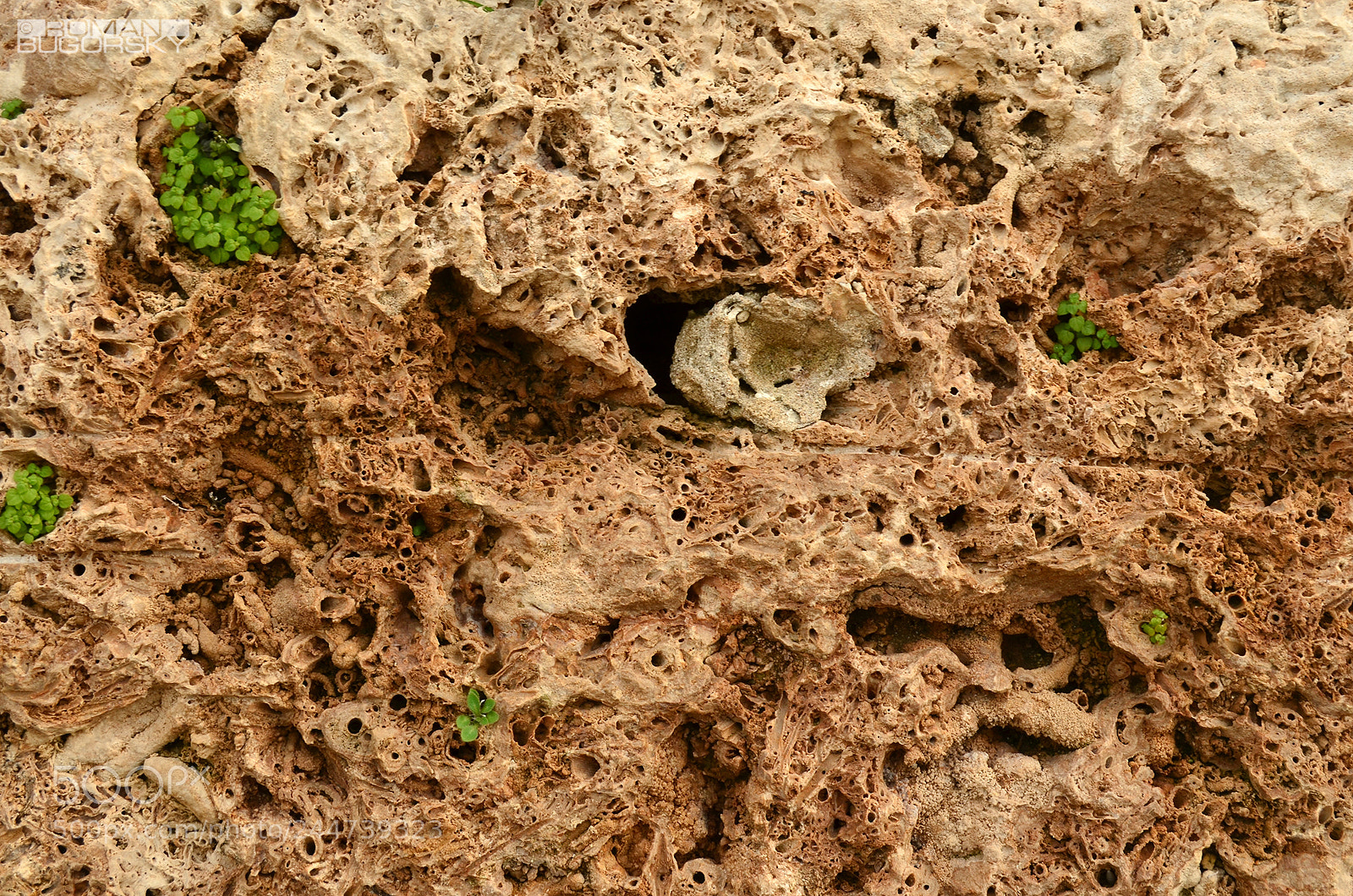 Nikon D5100 sample photo. Stone / Камень photography