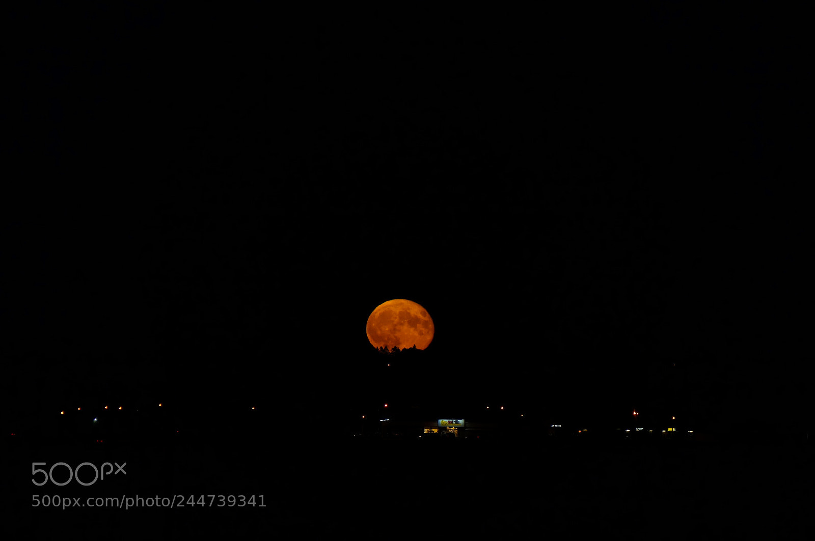 Sony Alpha NEX-5R sample photo. Untitled photography
