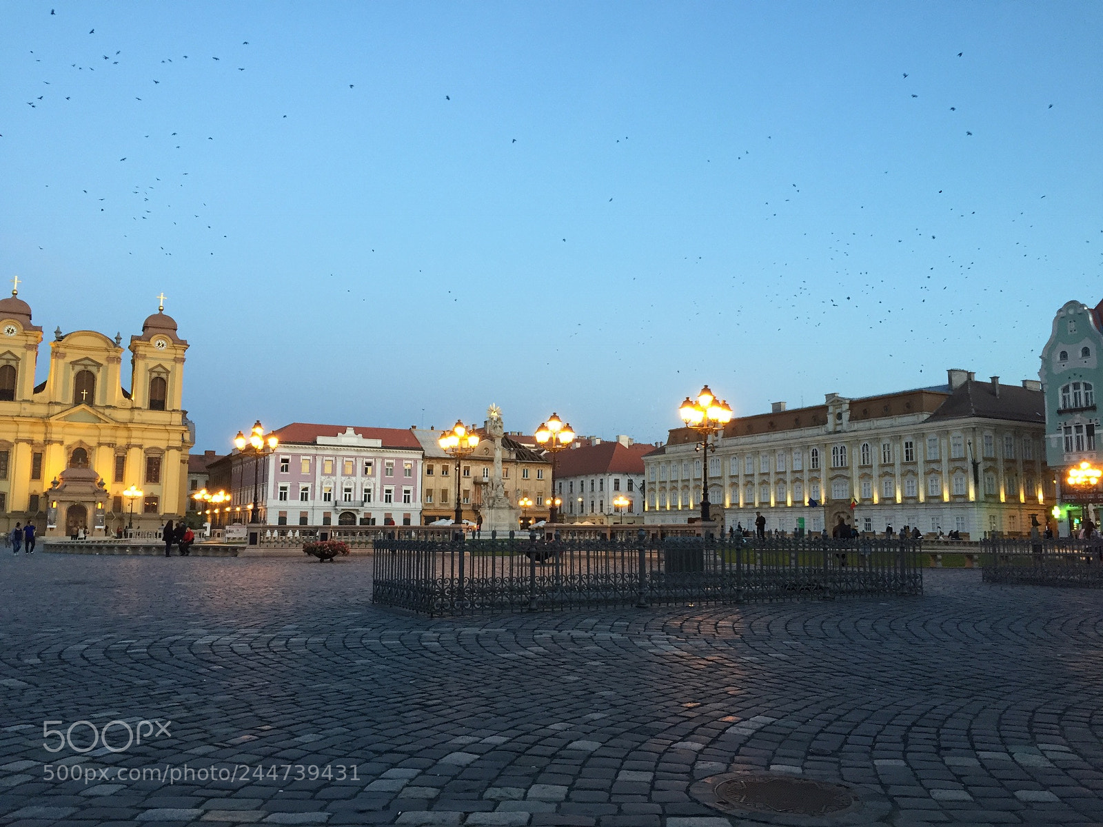 Apple iPhone 6 sample photo. Timisoara photography