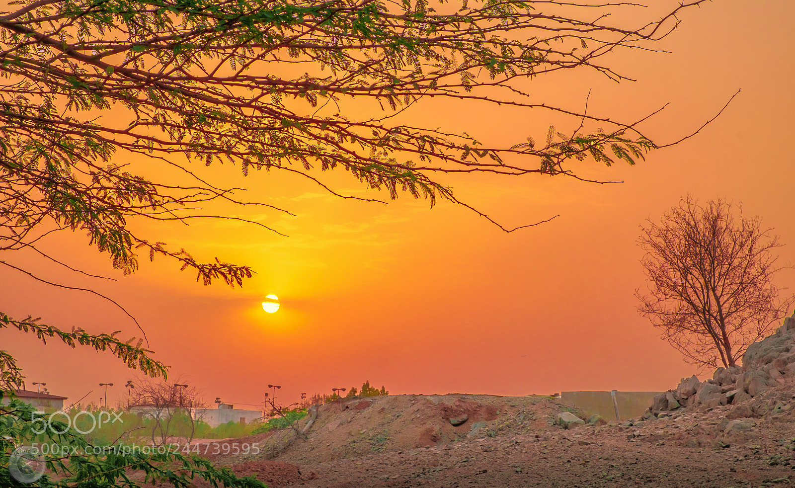 Fujifilm X-E2S sample photo. Sunset photography
