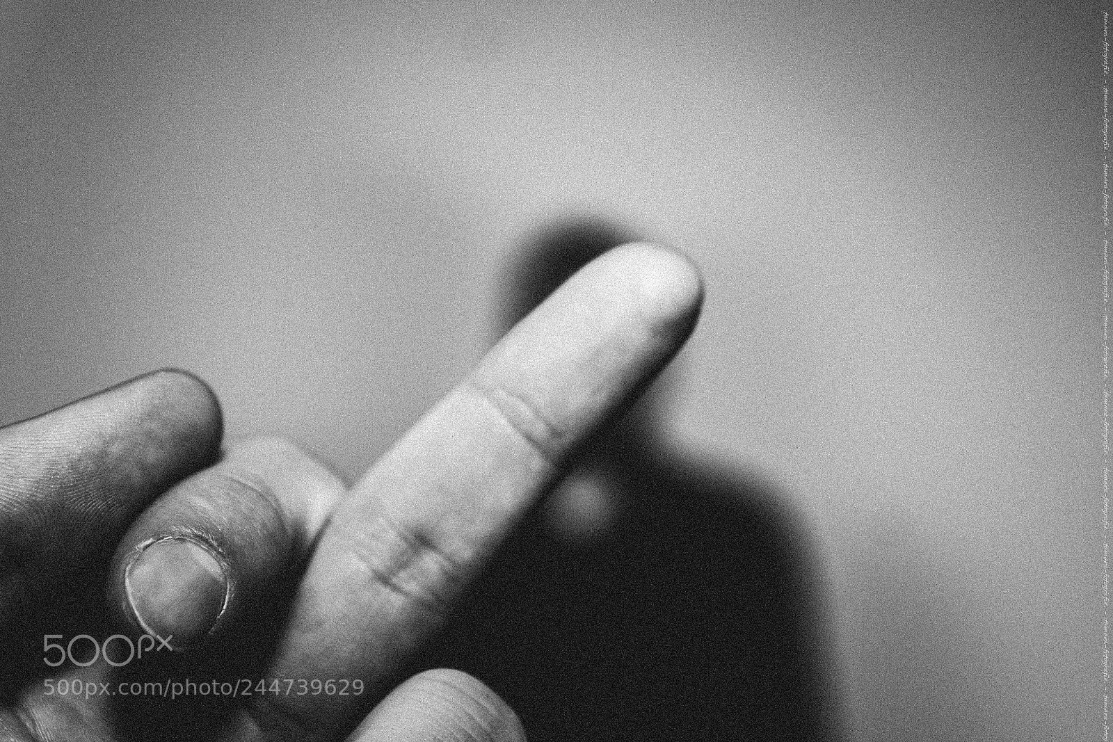 Sony ILCA-77M2 sample photo. F u c k photography
