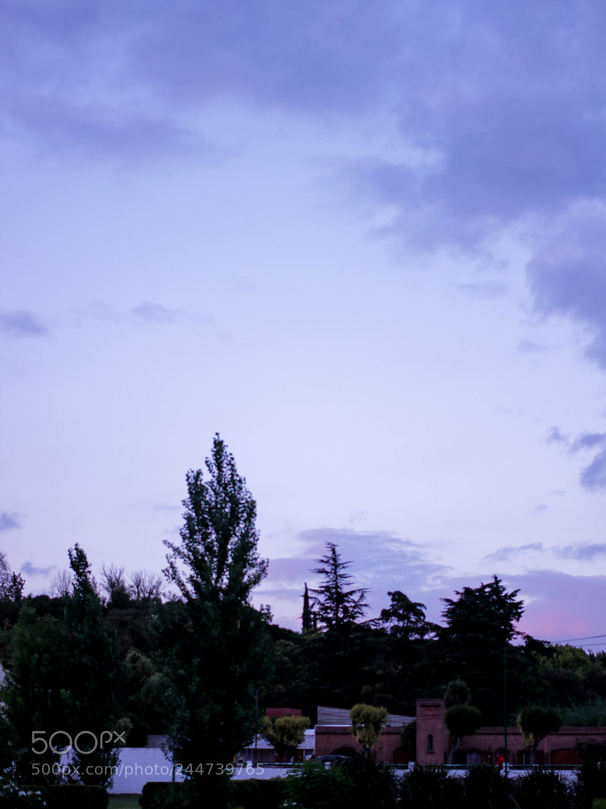 Canon EOS 600D (Rebel EOS T3i / EOS Kiss X5) sample photo. Asteroideph photography