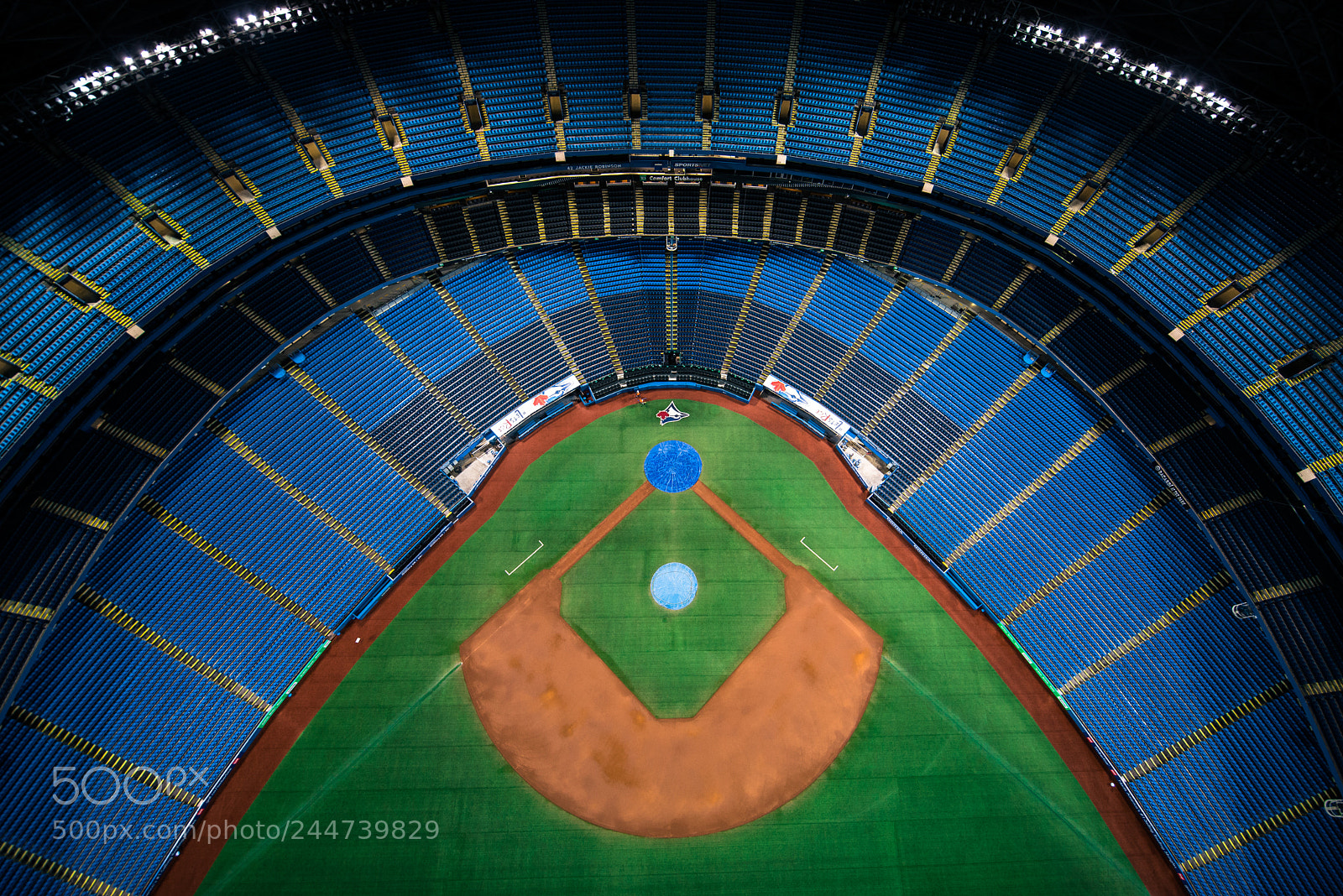 Nikon D610 sample photo. Skydome photography