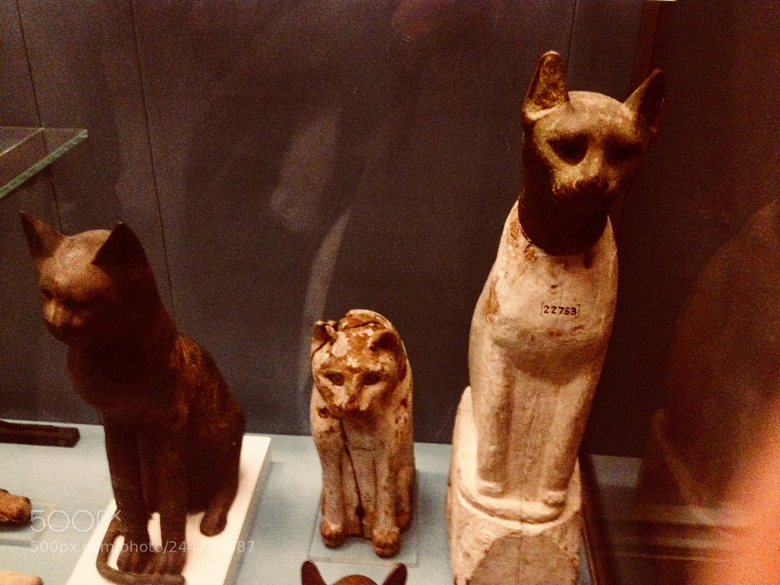 Apple iPhone 4S sample photo. Mummy s kitty cats......british photography