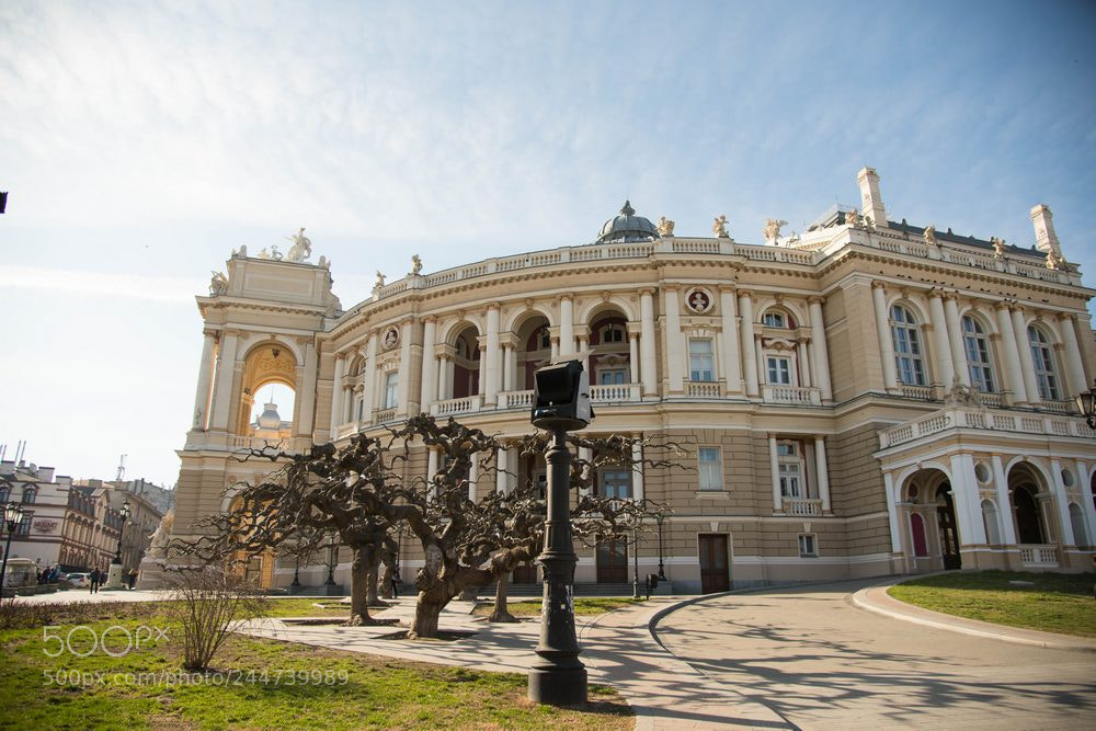Nikon D810 sample photo. сссссс photography
