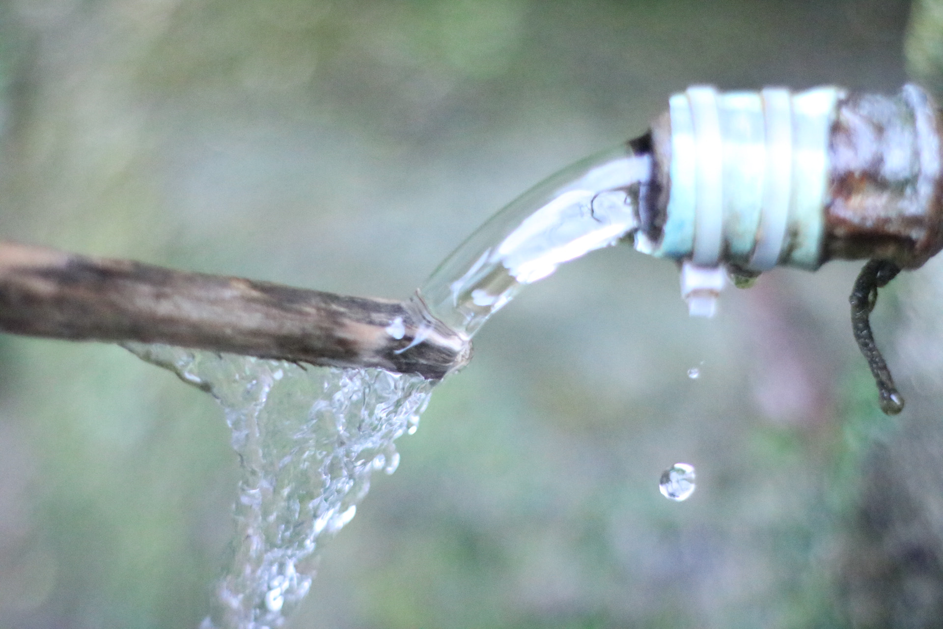 Canon 50mm sample photo