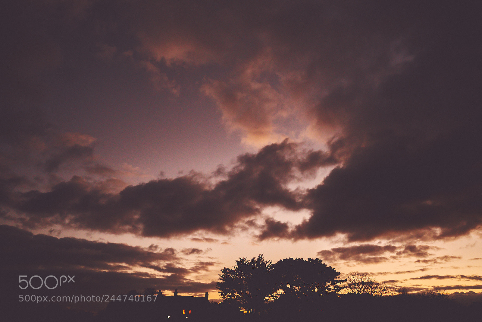 Sony a7R II sample photo. Day thirty three photography