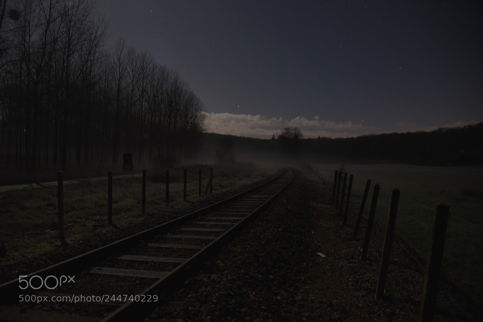 Nikon AF-S Nikkor 24-120mm F4G ED VR sample photo. Moonlight photography