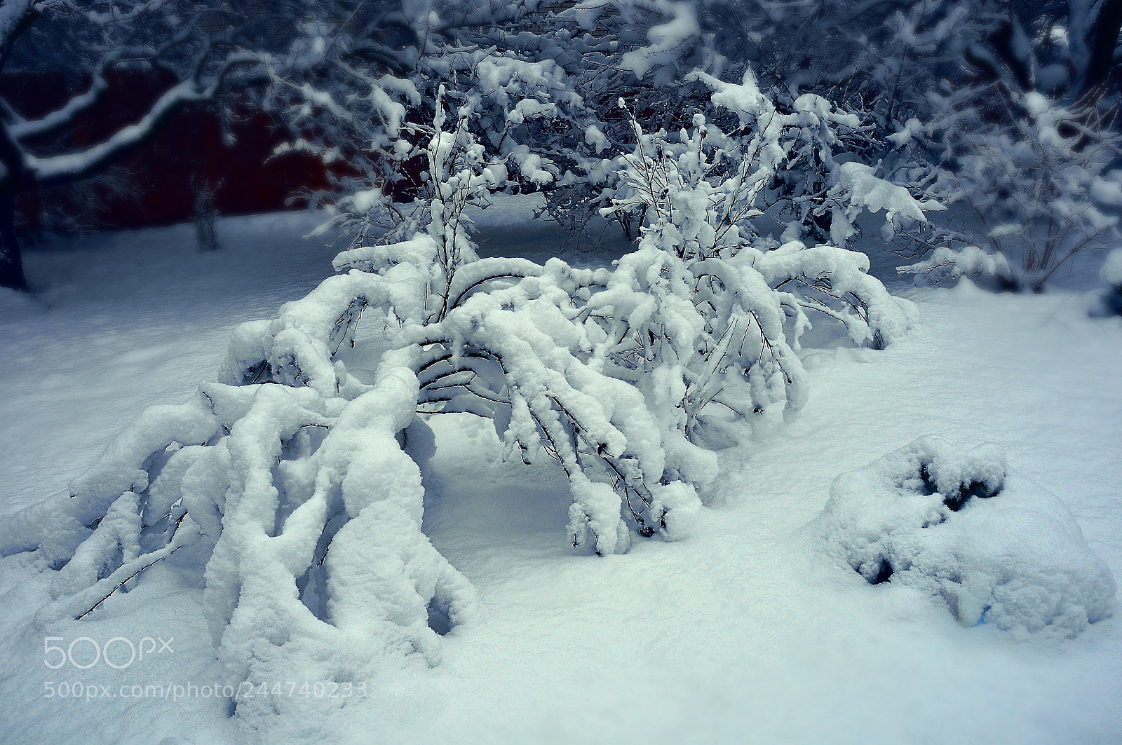 Nikon D300 sample photo. Снегопад photography