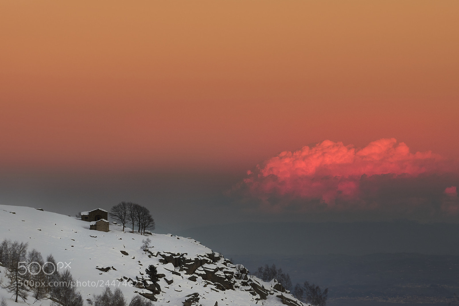 Sony a7R III sample photo. Life above the clouds photography