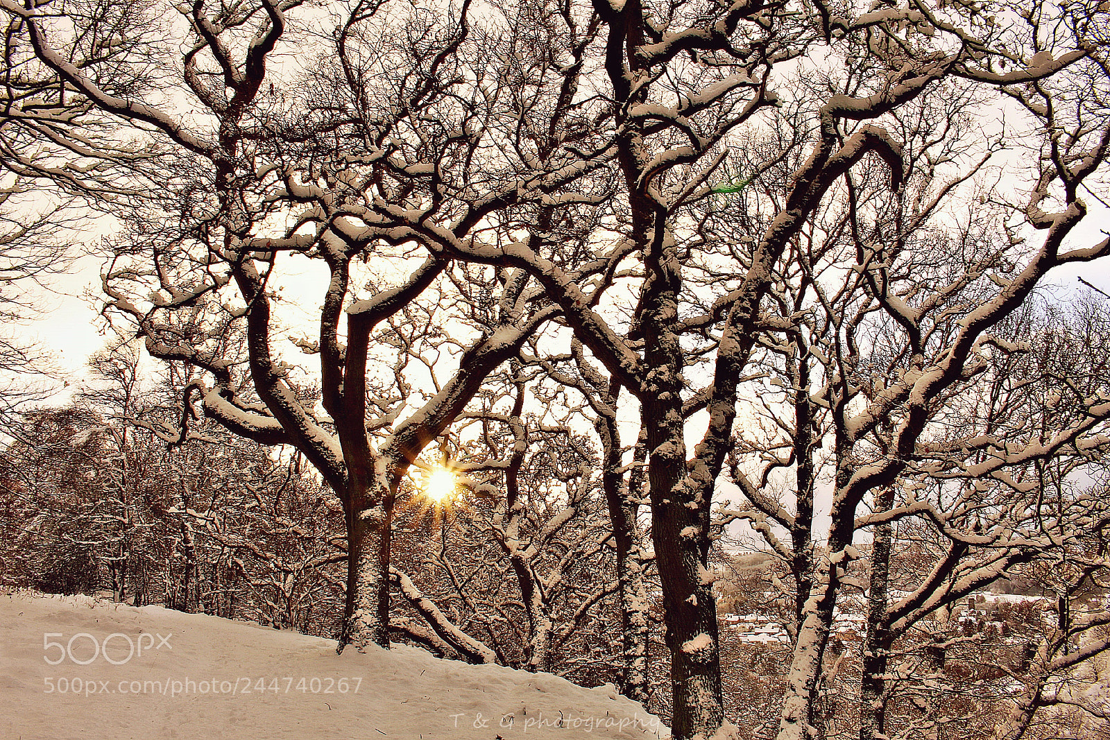 Canon EOS 100D (EOS Rebel SL1 / EOS Kiss X7) sample photo. Sun rising through the photography