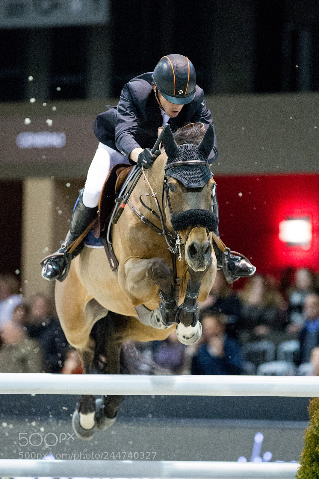 Nikon D4 sample photo. Bordeaux, france, 2.2.2018, sport photography