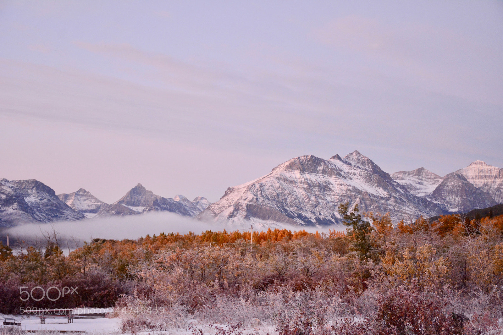 Nikon D7100 sample photo. An icy autumn photography