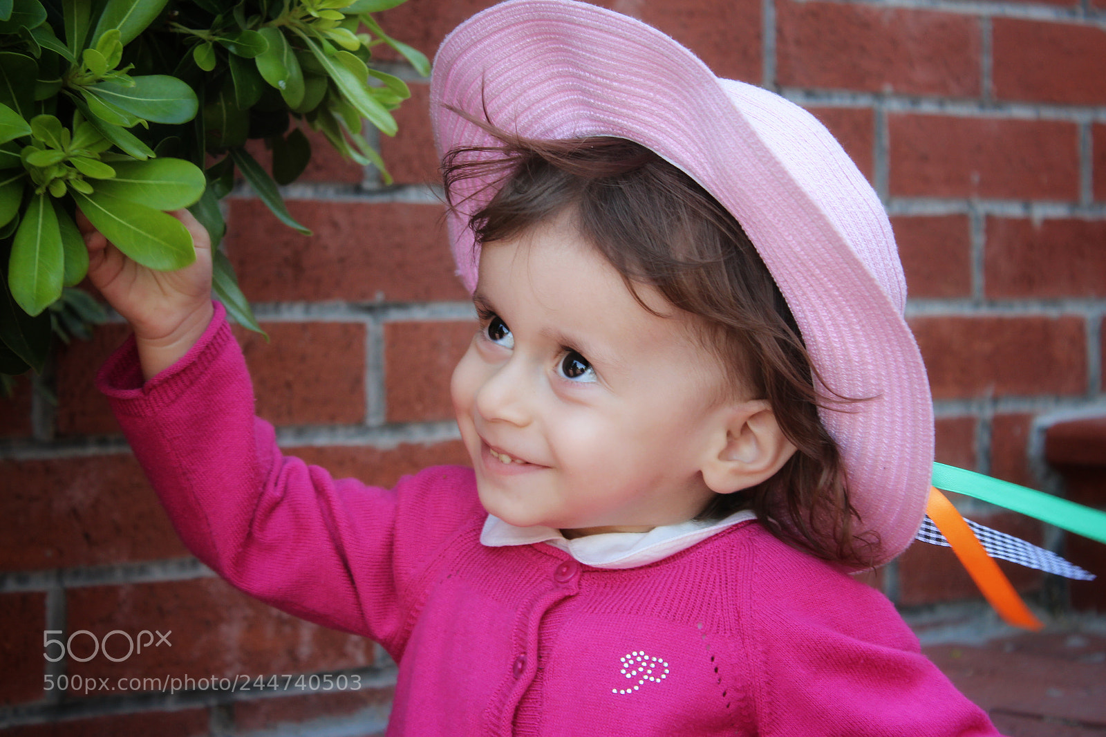 Canon EOS 650D (EOS Rebel T4i / EOS Kiss X6i) sample photo. Mutluluğun fotoğrafı photography