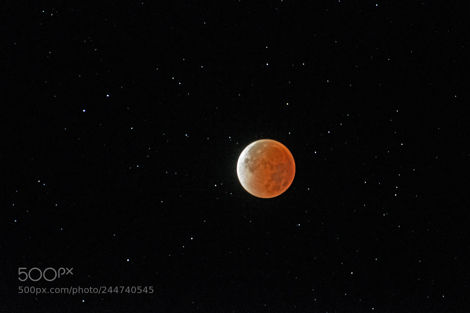 Nikon D7500 sample photo. Super blue blood eclipse 2018 photography
