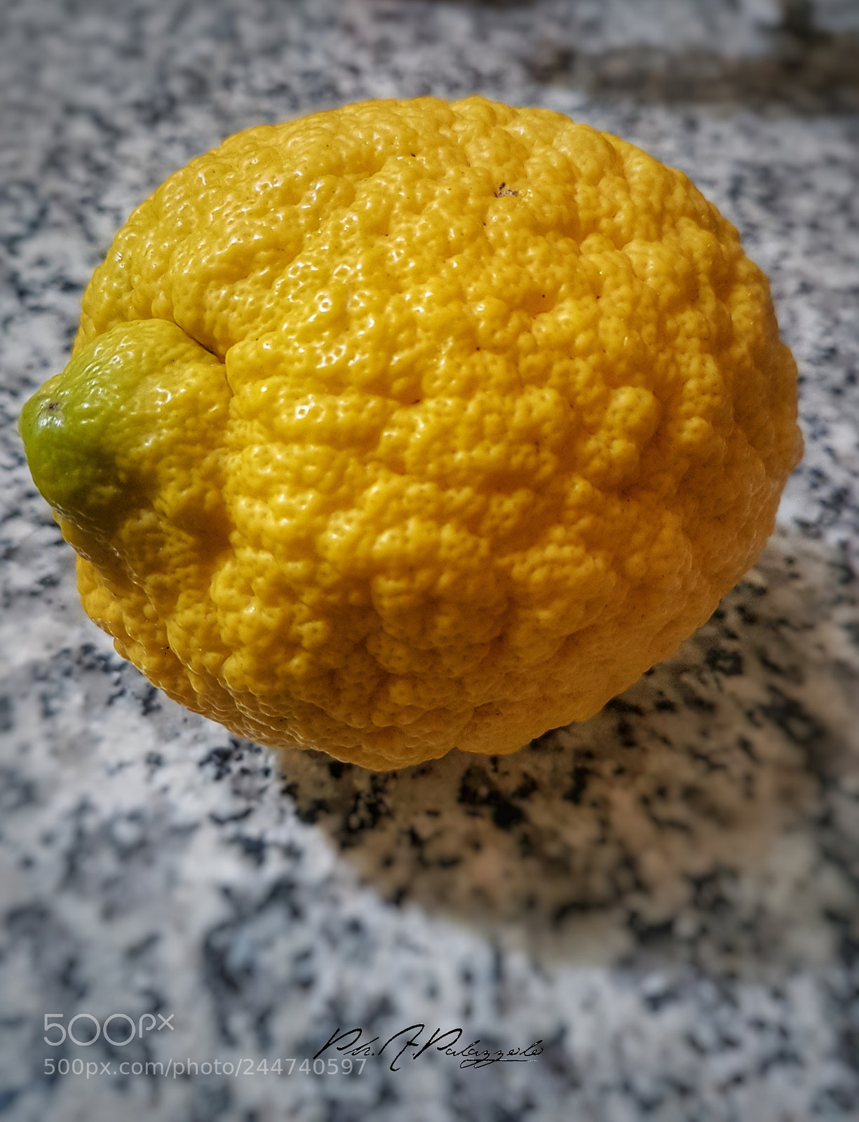 Samsung Galaxy S7 Edge sample photo. Untitled photography