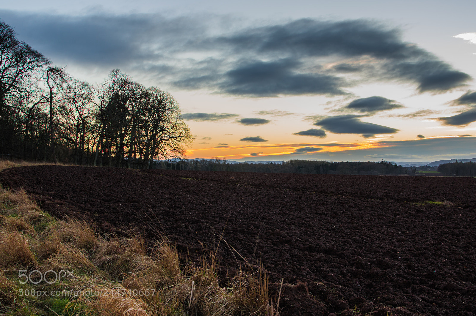 Pentax K-3 sample photo. Field photography