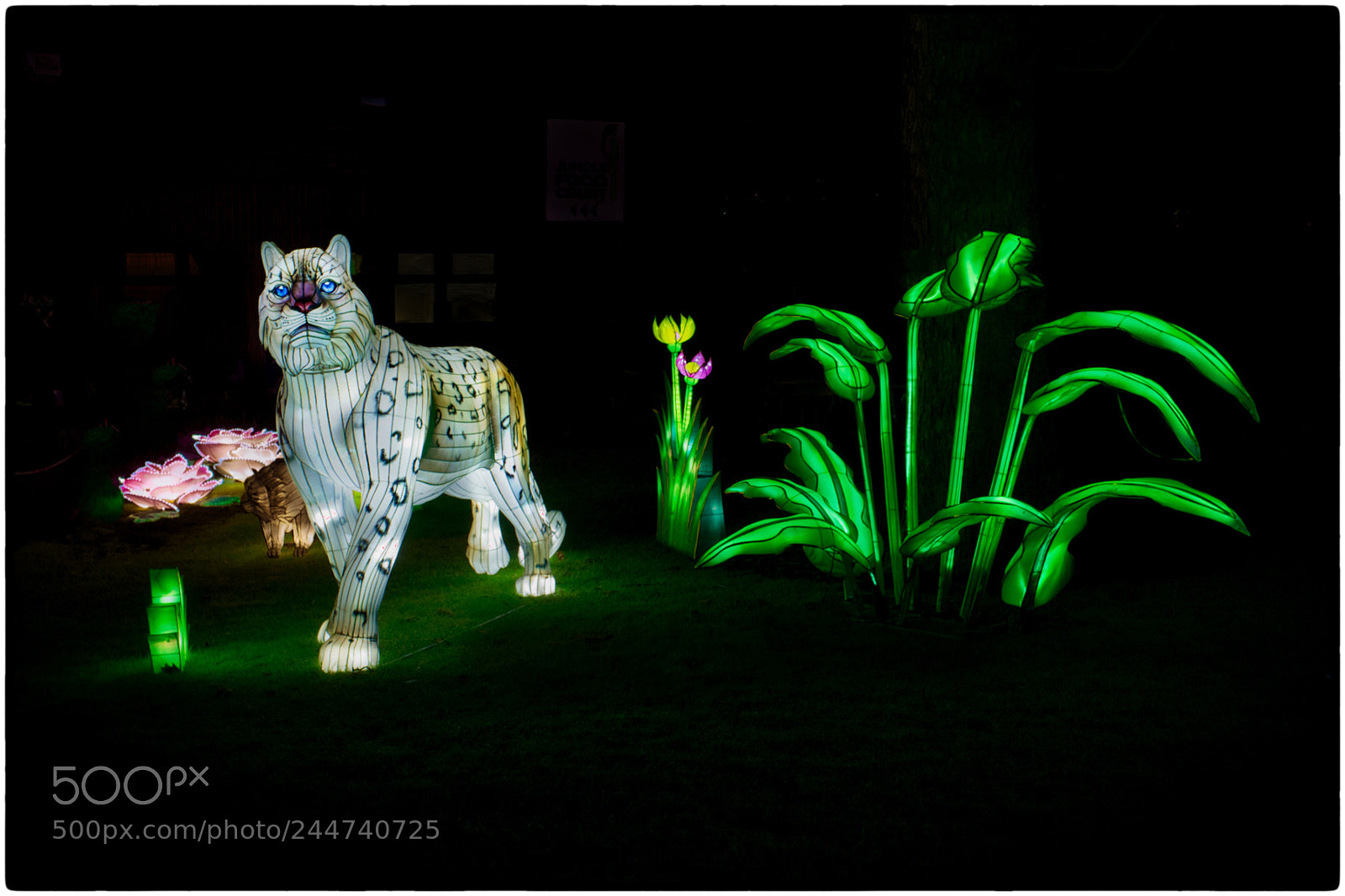 Fujifilm FinePix X100 sample photo. Giant lanterns of china 1 photography