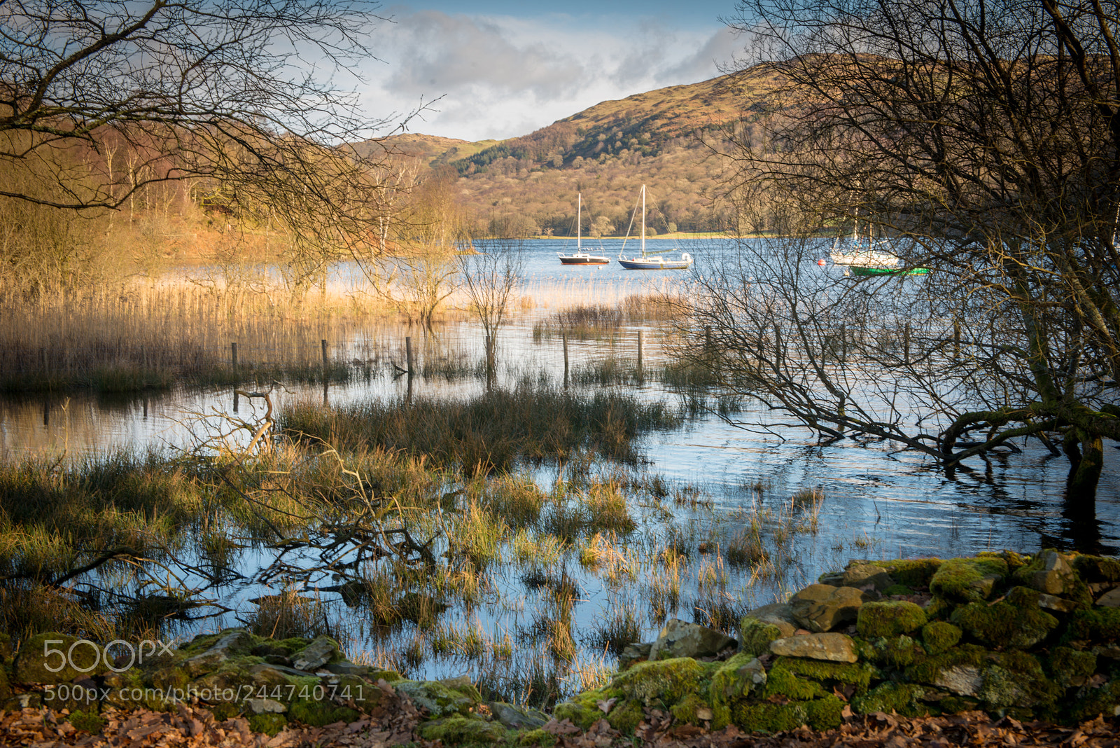 Nikon D800E sample photo. Coniston water from fairholme photography