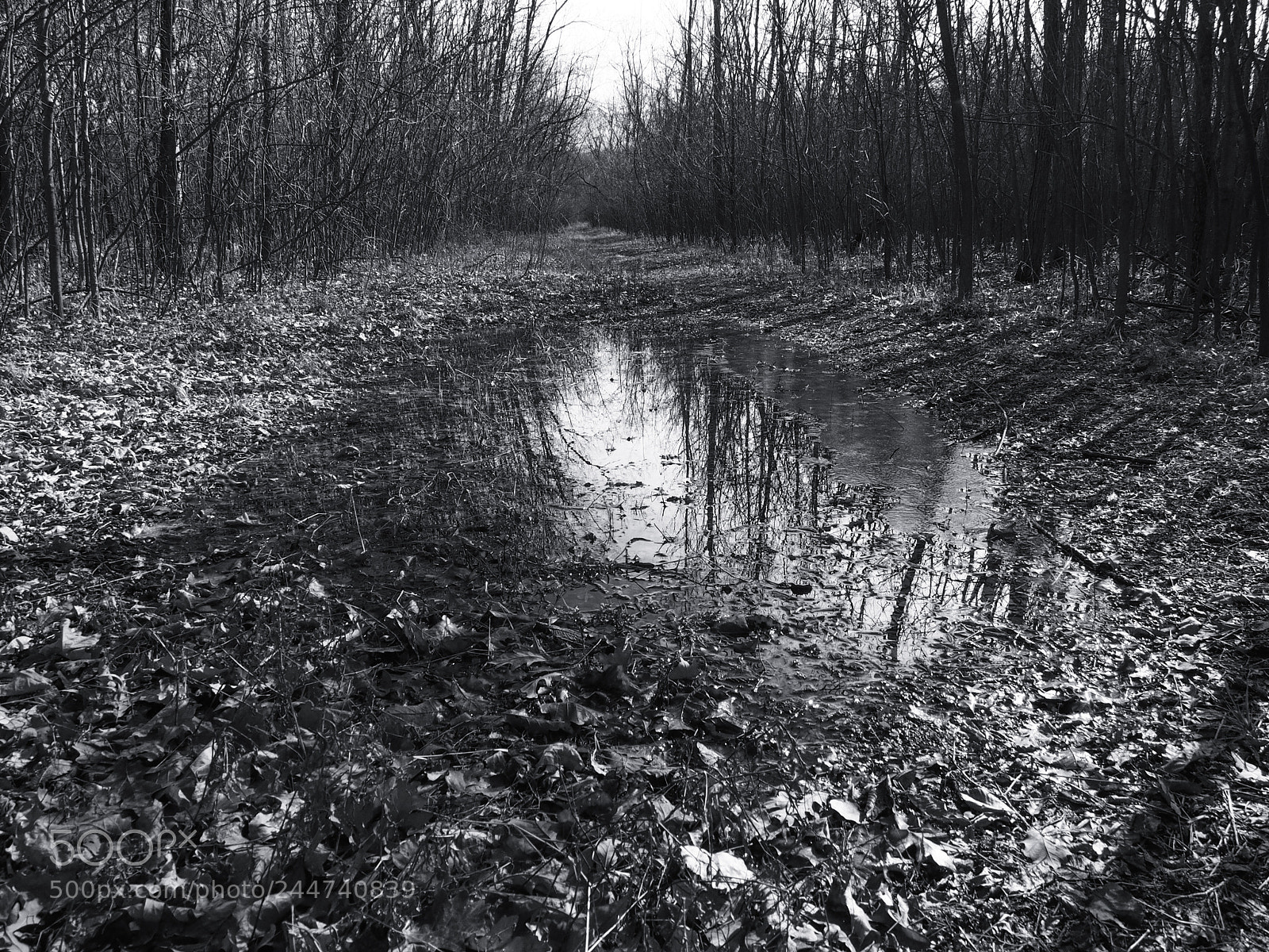 Olympus OM-D E-M5 sample photo. Abandoned photography
