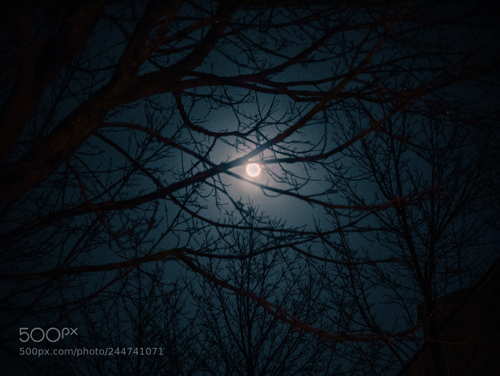 Panasonic Lumix DMC-GX85 (Lumix DMC-GX80 / Lumix DMC-GX7 Mark II) sample photo. The super blue moon photography