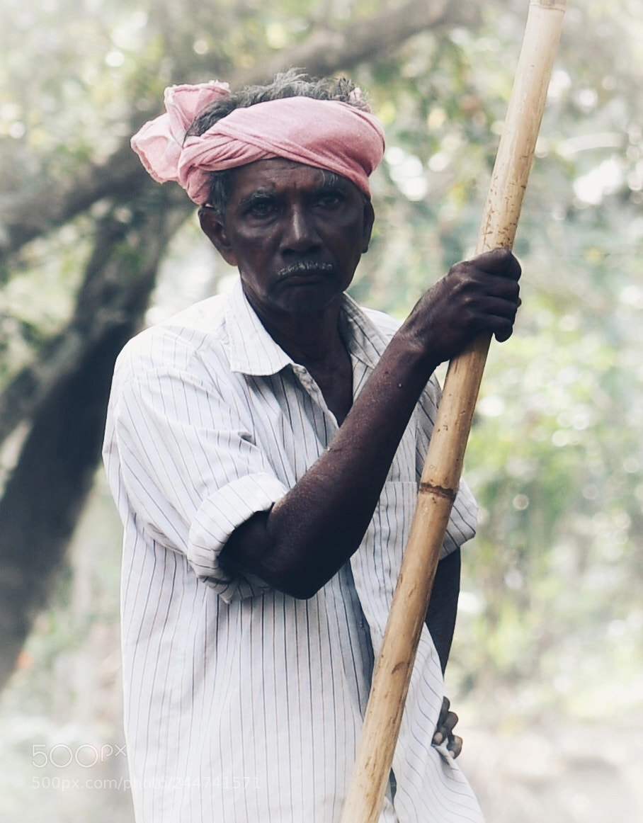 Nikon D500 sample photo. Fisherman in the backwaters photography