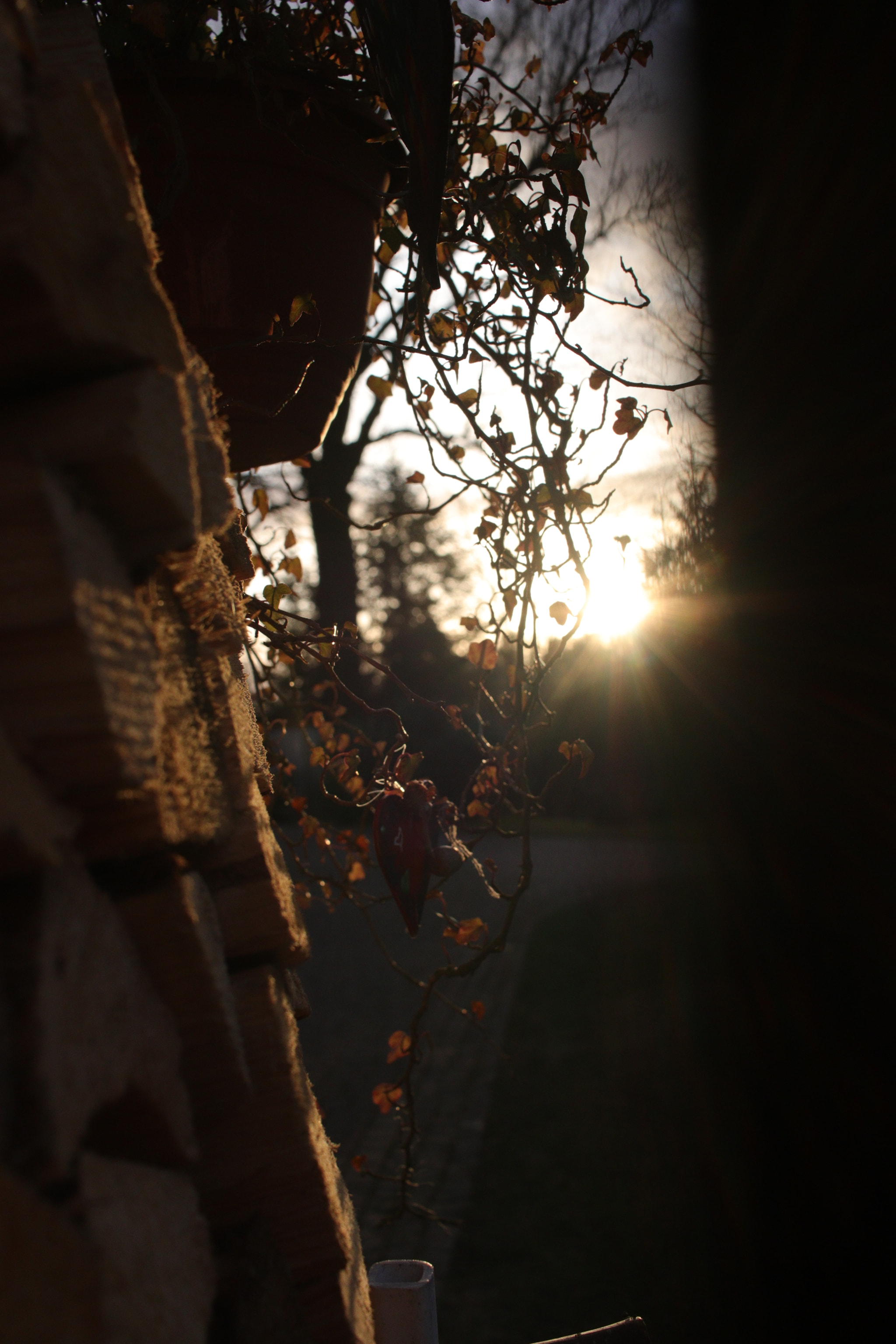 Canon EF-S 24mm F2.8 STM sample photo