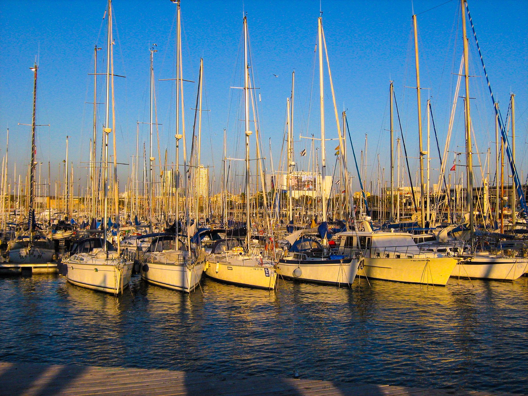 Canon POWERSHOT A460 sample photo. Boats in the dock photography