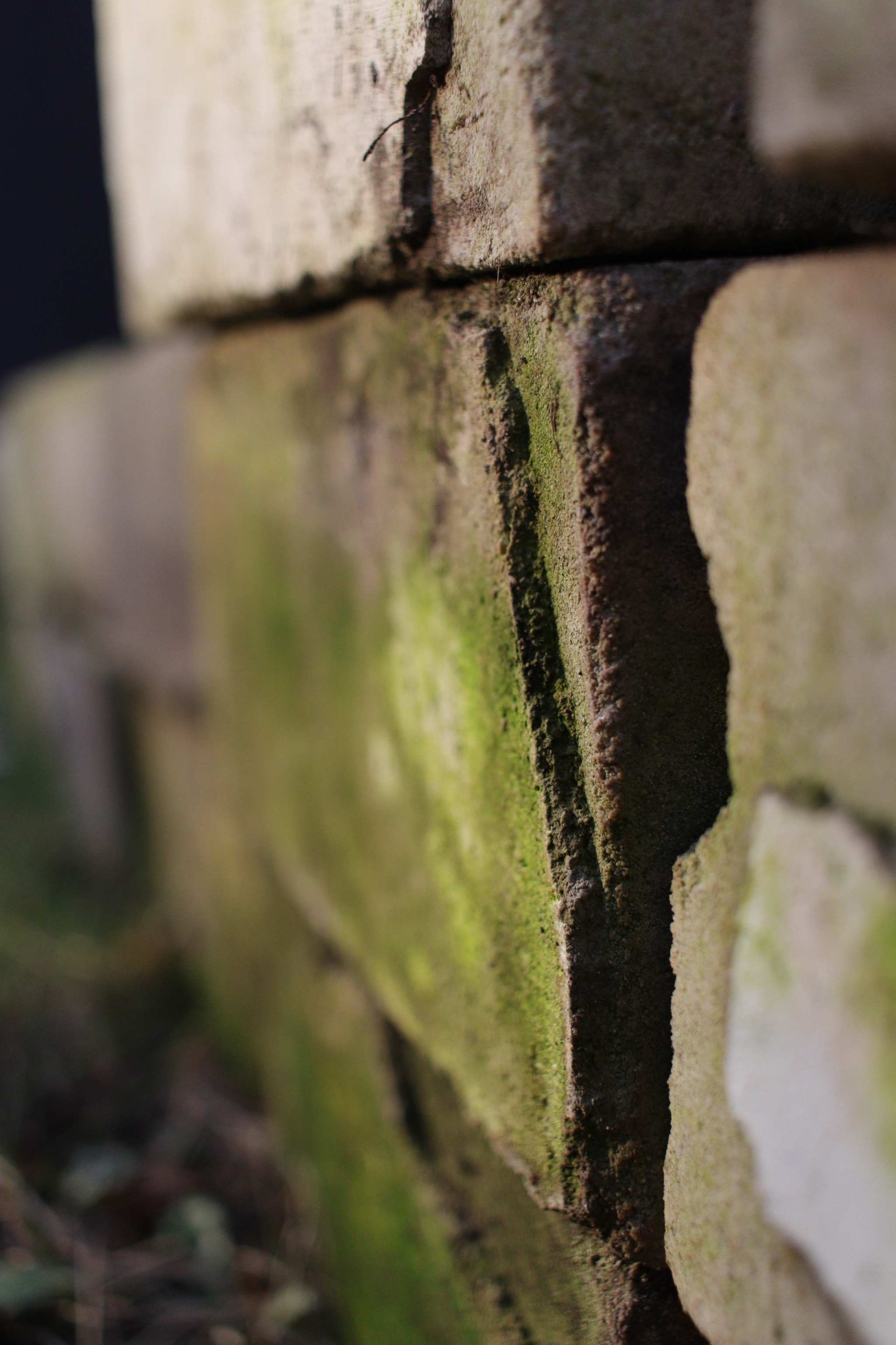 Canon EF-S 24mm F2.8 STM sample photo