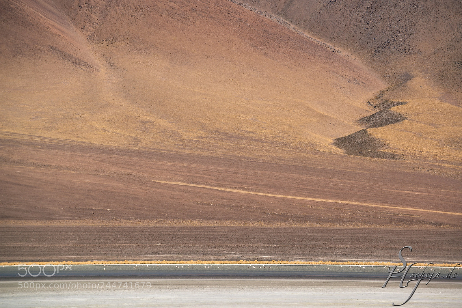 Nikon D800 sample photo. Atacama suchbild photography