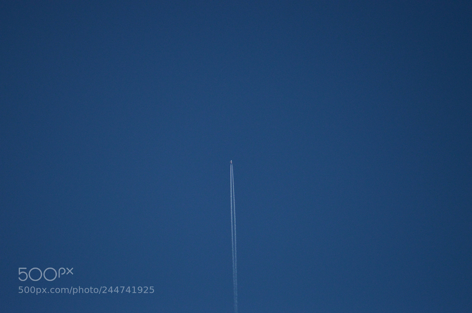Nikon D3200 sample photo. Fly with me photography