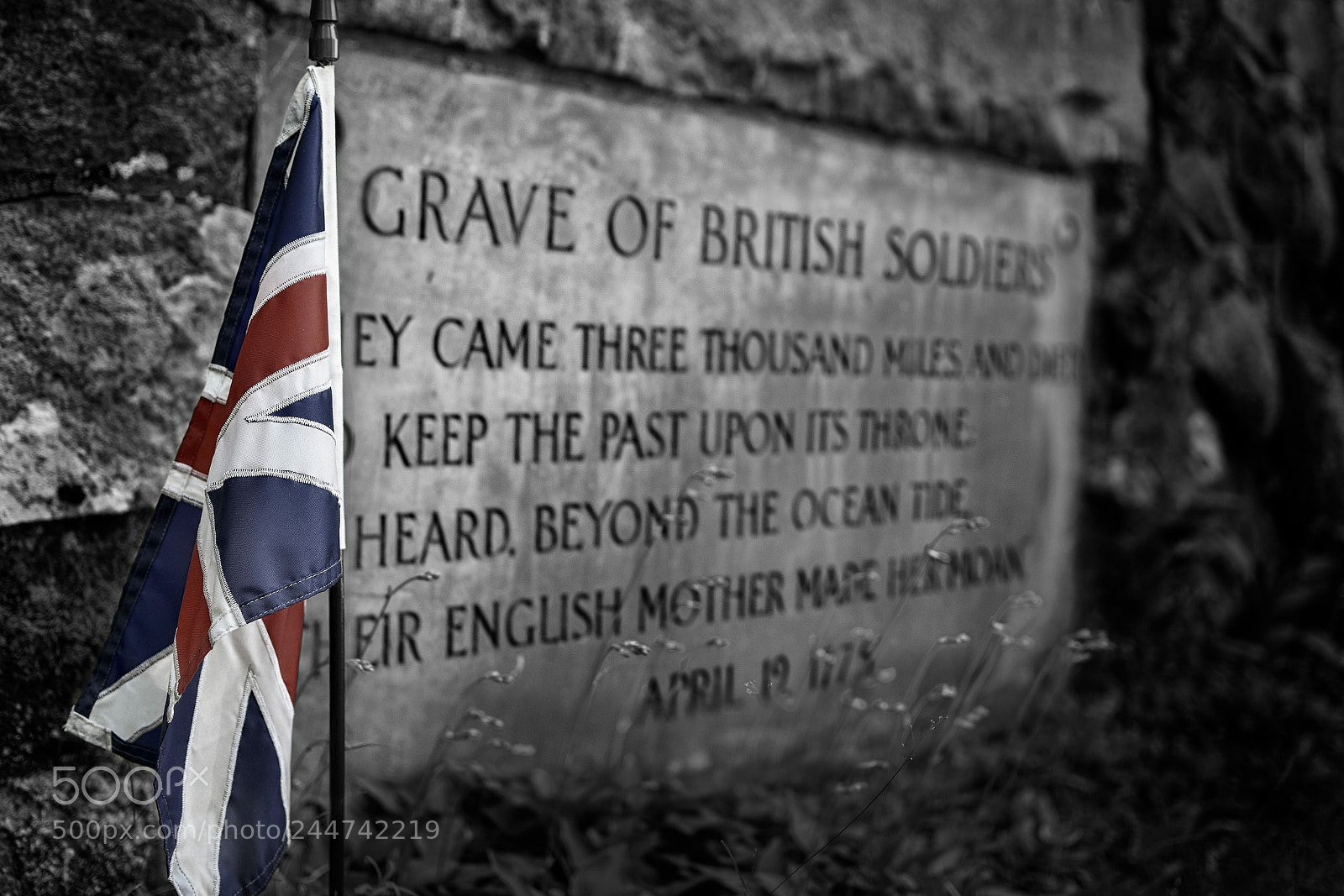 Nikon D3400 sample photo. Grave of british soldiers photography
