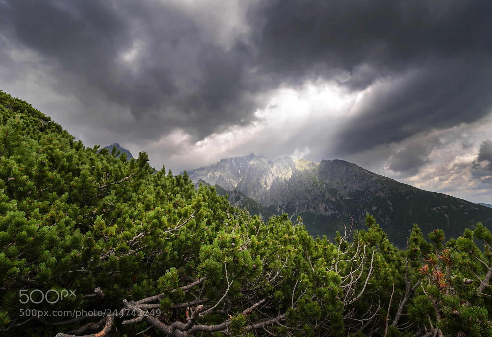 Nikon D600 sample photo. Lomnica peak in sunlight photography